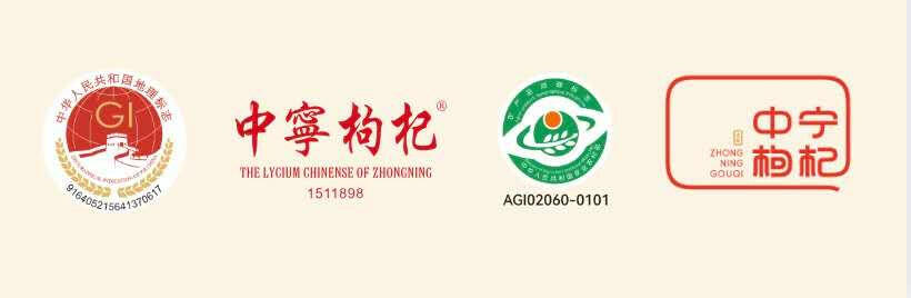 Just Gojii 100g Organic Dry Fruit.