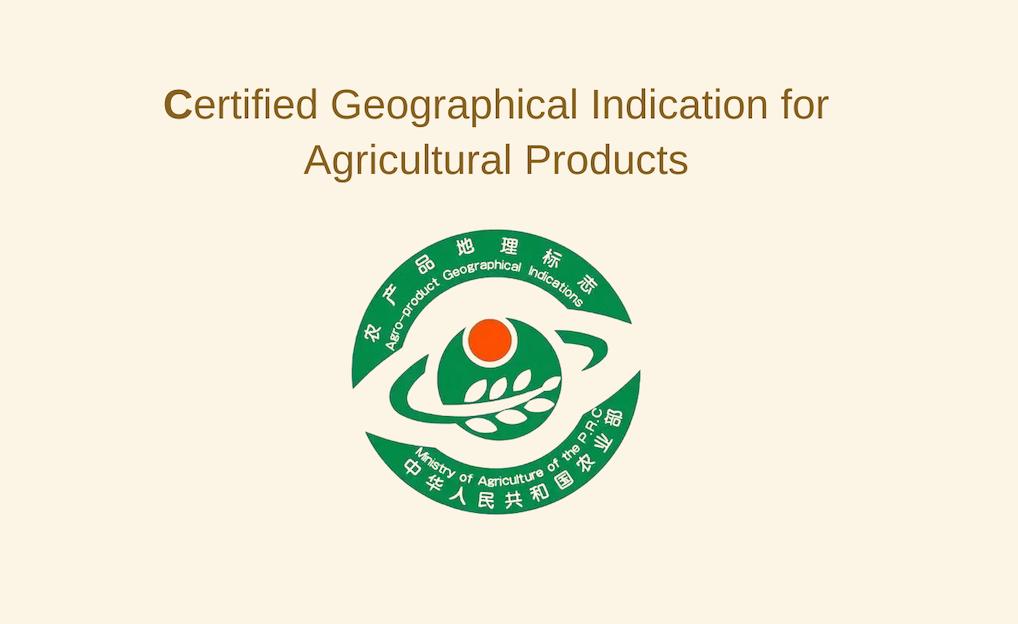 Premium Gojii berries infused in herbal goji berry tea for a revitalizing antioxidant boost