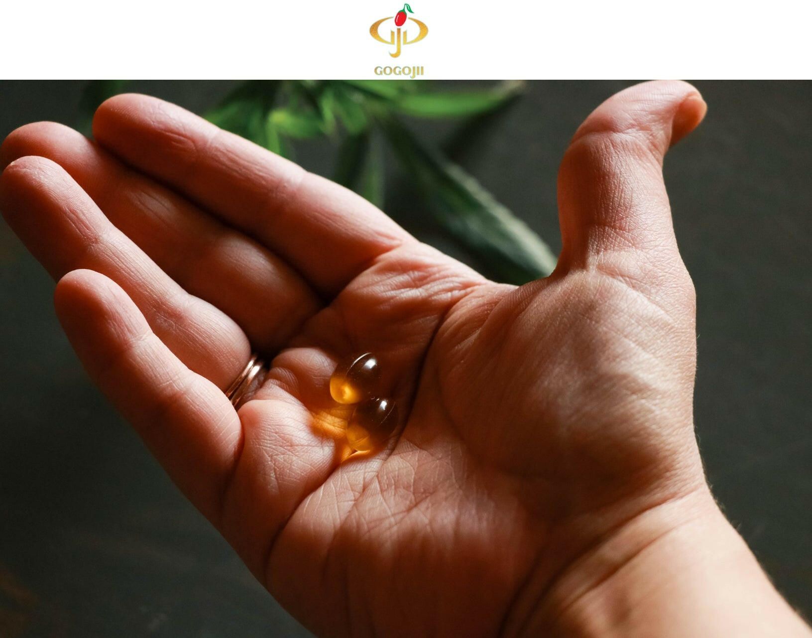 WELL GEL (Goji Seed Oil Soft Gel).